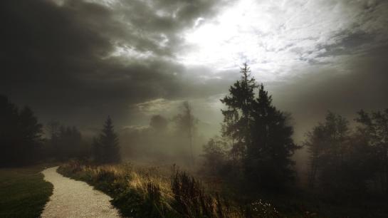 fog-on-a-footpath-in-forest-before-storm